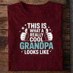 GrandPa Looks Like T-Shirt